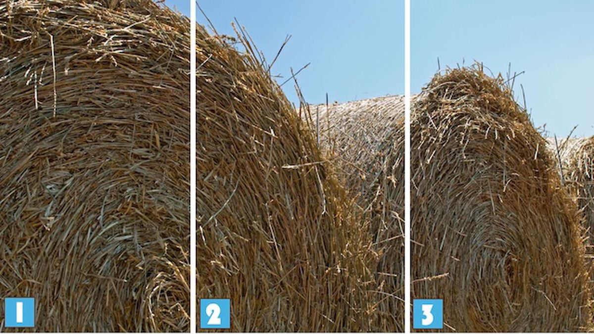 Needle in a Haystack 3 image number null